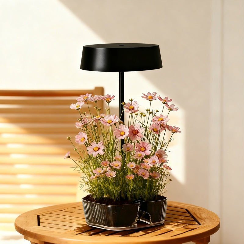 ORADO Modern Table Lamp with Acrylic Tray – Decorative Plant Light, Aroma Lamp, Desk Organizer & Minimalist Home Decor Lighting Wireless