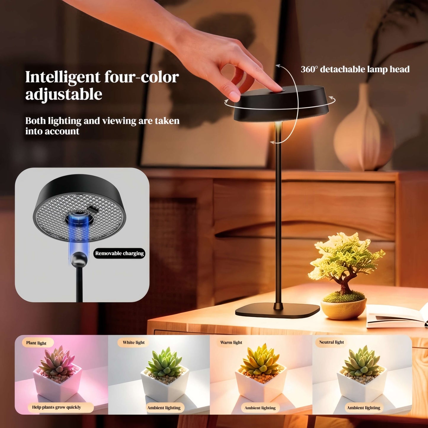 ORADO Modern Table Lamp with Acrylic Tray – Decorative Plant Light, Aroma Lamp