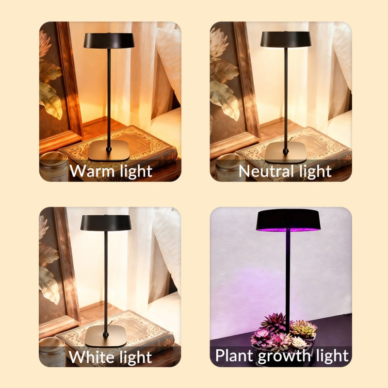 ORADO Modern Table Lamp with Acrylic Tray – Decorative Plant Light, Aroma Lamp, Desk Organizer & Minimalist Home Decor Lighting Wireless