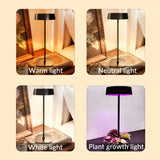 ORADO Modern Table Lamp with Acrylic Tray – Decorative Plant Light, Aroma Lamp, Desk Organizer & Minimalist Home Decor Lighting Wireless