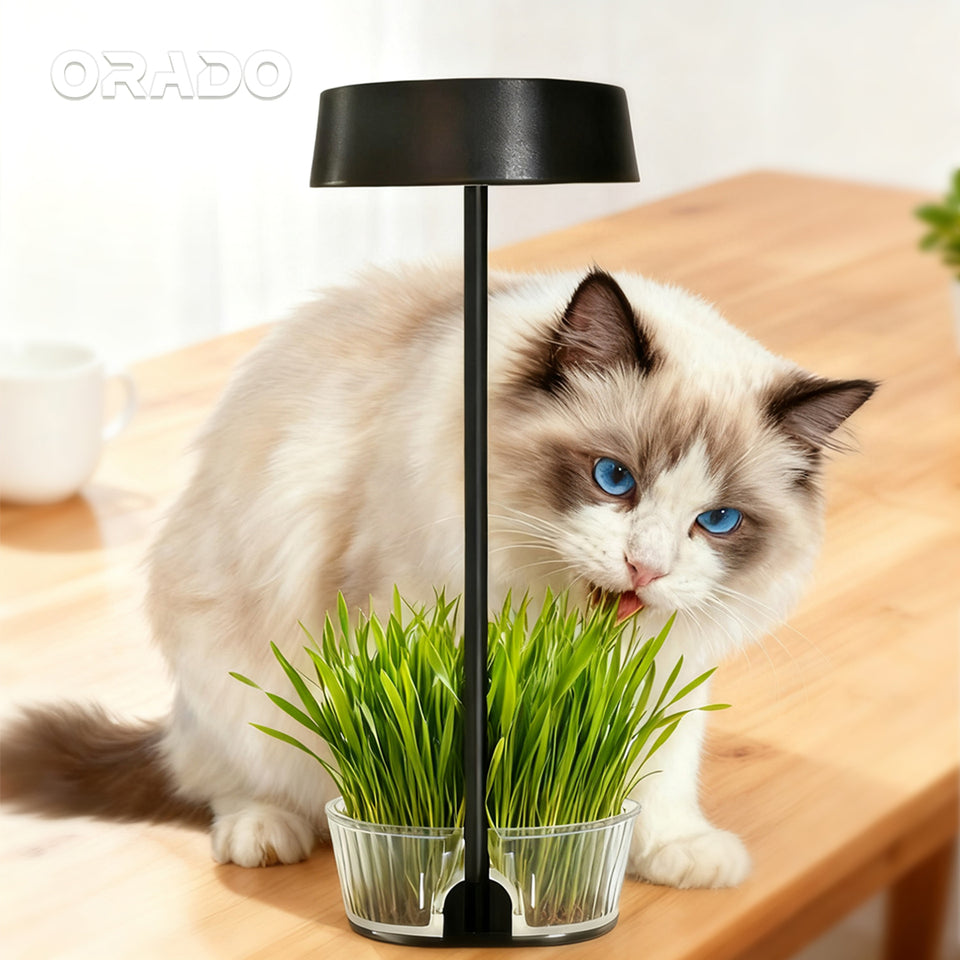 ORADO Modern Table Lamp with Acrylic Tray – Decorative Plant Light, Aroma Lamp, Desk Organizer & Minimalist Home Decor Lighting Wireless